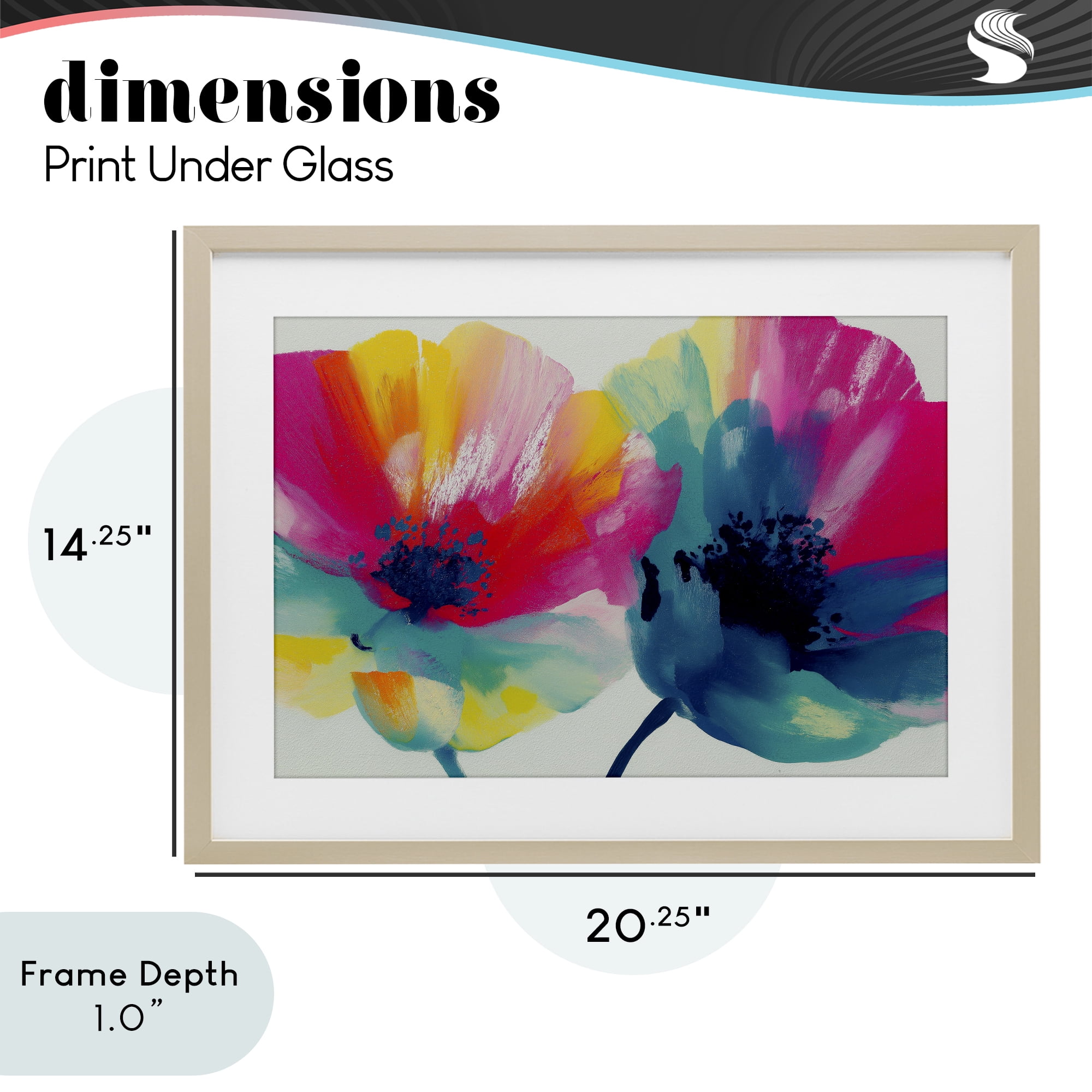 Stupell Industries Two Colorful Poppies Birch Framed Print Under Glass, design by Chromatic Storm Studio