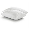 thumbnail image 4 of Luxury Microfiber Sleep Kit Ensemble: Pillows-Sheets-Comforter - Queen, 4 of 5