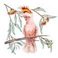 thumbnail image 2 of Wang, Melissa 20x20 White Modern Wood Framed Museum Art Print Titled - Pink Cockatoo I, 2 of 4