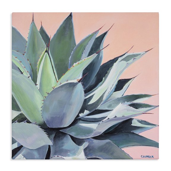 Stupell Industries Modern Painted Aloe Succulent on Coral Peach Ground Canvas Art, 17 x 17, by Niya Christine