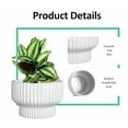 thumbnail image 2 of White Ceramic Ribbed Planters (2 Count), 2 of 7