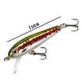 thumbnail image 2 of Rebel Track Down Minnow Slick Slow Sinking Slick Rainbow Trout 1 5/8" 3/32 oz., 2 of 12