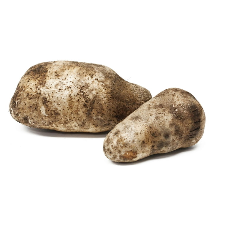 Yam Root Whole Fresh, Each (Name Florido) - Walmart.com