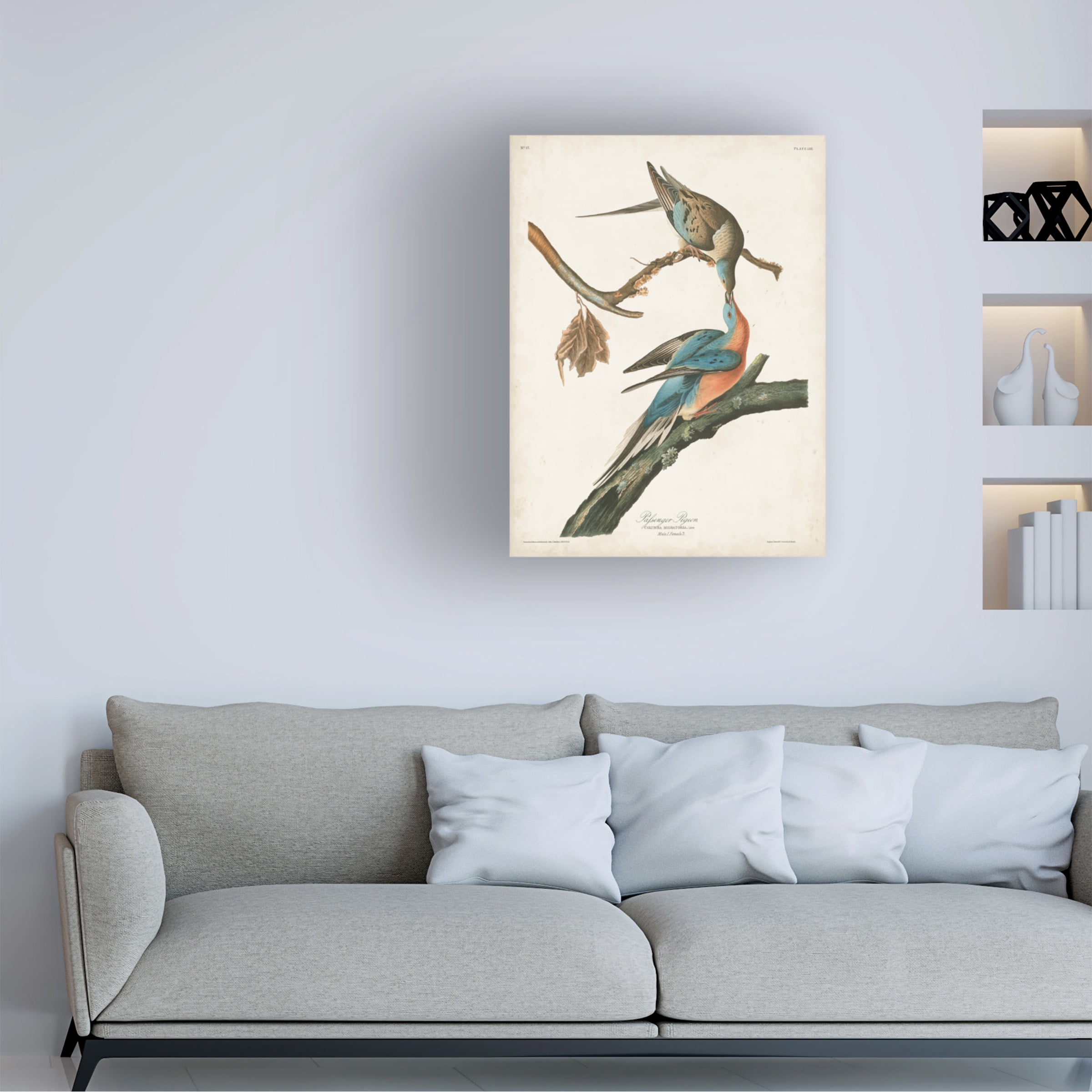 John James Audubon 'Passenger Pigeon' Canvas Art