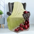 thumbnail image 4 of Country Soft Flannel Fleece Throw Blanket, Bucket with Full of Ripe Natural Tasty Cherries on Green Ombre Fruit Bowl Picture, Cozy Plush for Indoor and Outdoor Use, 50" x 70", Red Green, by Ambesonne, 4 of 5