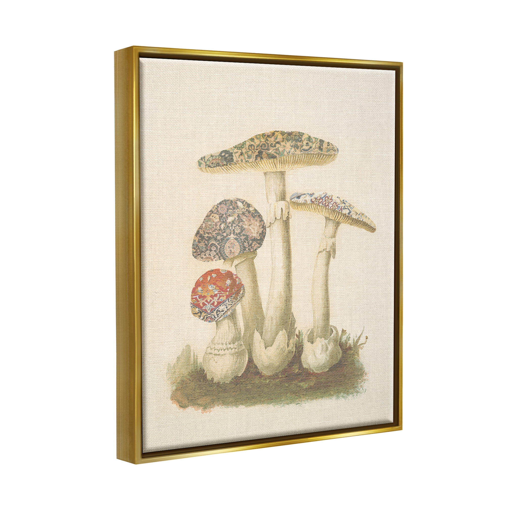 Stupell Industries Vintage Patterned Mushrooms Botanical & Floral Painting Gold Floater Framed Canvas Art Print Wall Art, 25 x 31