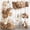 Brown, variant on 156Pcs Boho Blush Pink Balloons Arch Garland Kit, Retro Dusty Pink Mother's Day Balloons Nude Rose Gold Confetti for Girls Baby Shower Weddings Birthday Bachelorette Party Decorations