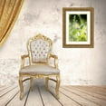 thumbnail image 3 of Stalus, Judy 13x18 Gold Ornate Wood Framed with Double Matting Museum Art Print Titled - Sunshine, 3 of 4