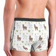 thumbnail image 4 of Men's Boxer Briefs, Abstract Cute Alpaca Cactus Soft Comfy Mens Underwear Boxer Briefs Breathable With Widen Waist, 4 of 7
