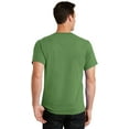thumbnail image 2 of Essential T-Shirt. Dill Green. 3XL, 2 of 2
