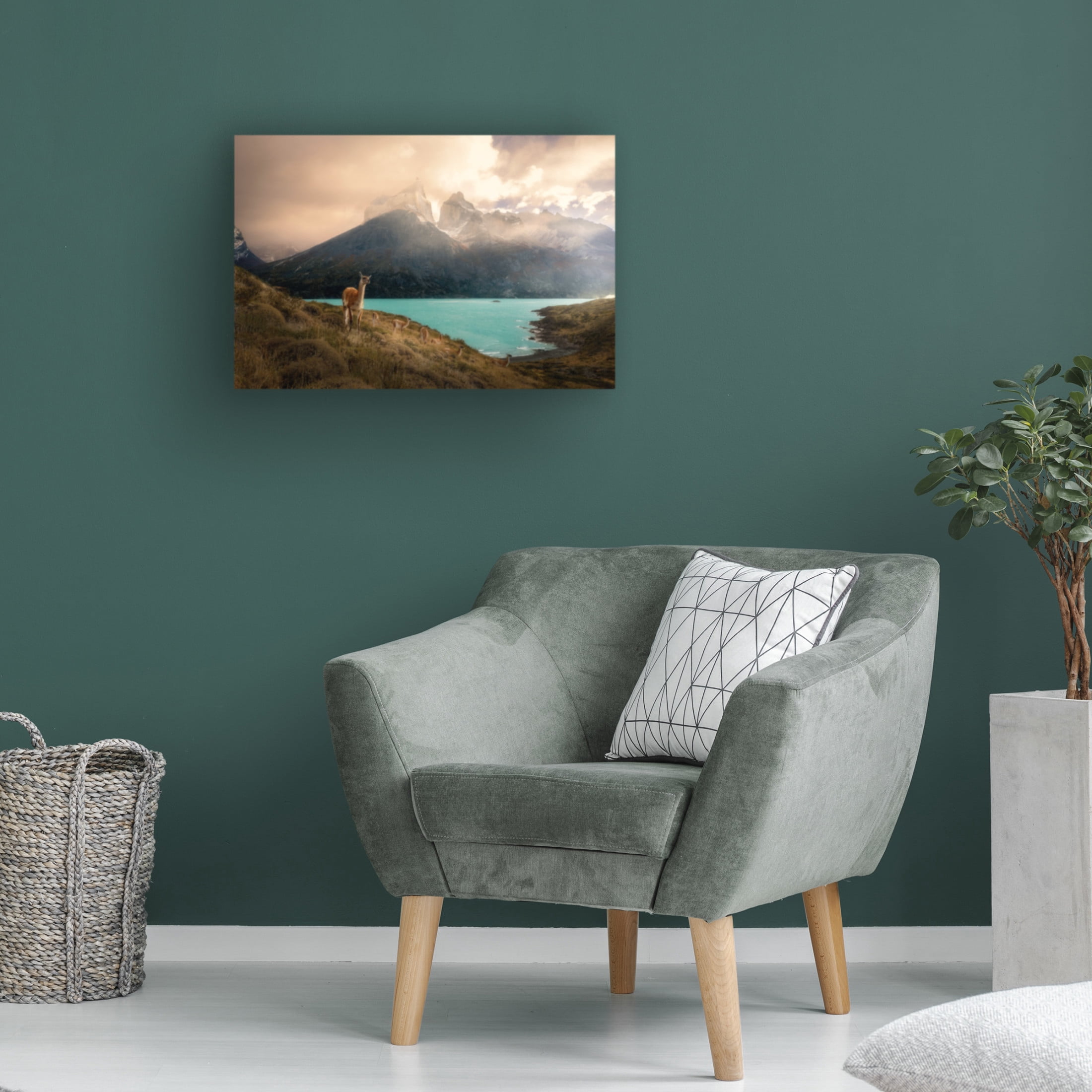 Trademark Fine Art Dennis Zhang Alpaca at Torres del Paine II Canvas Wall Art