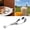 A, variant on Stainless Steel Soup Spoon, Polished Asian Soup Spoon for Ramen, Bouillon, Dessert, Cereal, Thai Soup, Includes 1 Spoon