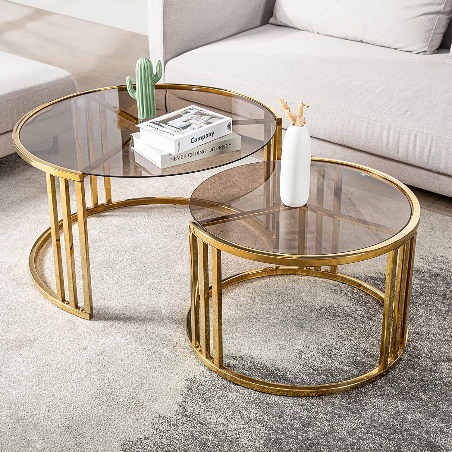 Domeng Round Glass Nesting Coffee Table Set of 2 for Living Room
