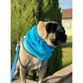 thumbnail image 4 of CoolCollar, Premium Cooling Pet Collar with Adjustable Drawstring, Keep Your Furry Friend Comfortable in Hot Weather, Medium, 4 of 5