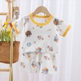 thumbnail image 2 of NOLDARES Newborn Baby Boy Clothes 2pcs Crewneck Short Sleeve Round Neck Top Drawstring Shorts Dinosaur Pattern Outfits(Yellow,2-3 Y), 2 of 6