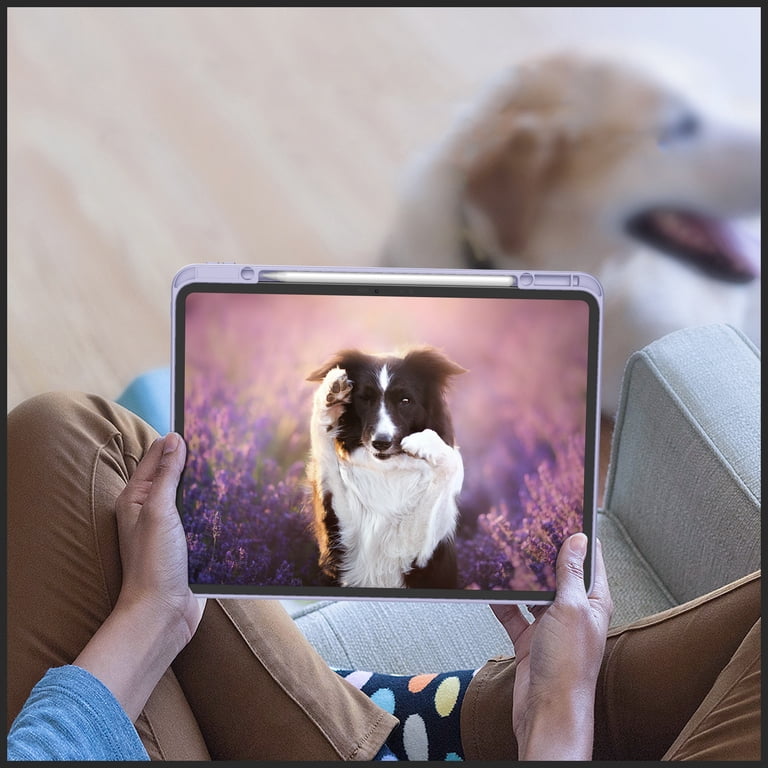 ZAGG Denali IPad Pro 13  2024/2025  Hoes Met Ingebouwde Screen Protector Zwart