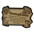 thumbnail image 2 of USA Pennsylvania State Map Wooden Magnet Souvenir Fridge Magnet Gift, 2 of 4