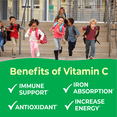 thumbnail image 4 of VitaWorks Kids Vitamin C Chewable Tablets | 250 mg | Great Tasting, Orange Flavor | Vegan, non GMO | For Immune Support | For Children | 120 Chewables, 4 of 8