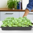 thumbnail image 4 of GETAJGHSD 5Pcs Professional Plant Germination Tray Black Plastic for Greenhouse and Farm, 4 of 7