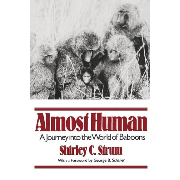 Almost Human: A Journey Into the World of Baboons, (Paperback)