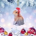 thumbnail image 2 of Binwennn Christmas Light Rings Window Garland Christmas Decorations Christmas Animal Ornament Acrylic Santa Hat Animal Ornament Christmas Tree Decoration, 2 of 8