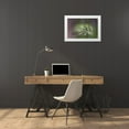 thumbnail image 3 of Grall, Don 14x11 White Modern Wood Framed Museum Art Print Titled - TN, Great Smoky Mts False Solomons seal flowers, 3 of 4