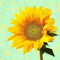 thumbnail image 2 of Lavoie, Tina 12x12 White Modern Wood Framed Museum Art Print Titled - Summer Sunflower, 2 of 4