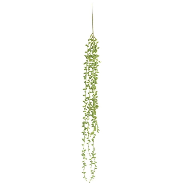 Simulación colgante de plantas suculentas de ratán, hojas de bonsái, lágrimas de amante, collar de perlas, suculentas para decorar el jardín de casa