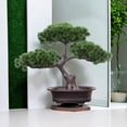 thumbnail image 6 of Artificial Welcoming Tree Pot Plant Bonsai Decorative Novel and Unique Sturdy Multipurpose Desktop Display for Terrace, Windowsill Style A, 6 of 9