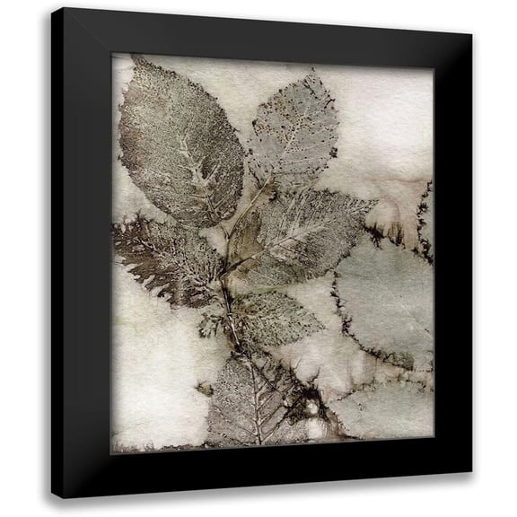 Phillips, Kathryn 12x14 Black Modern Framed Museum Art Print Titled - Birch Leaves II