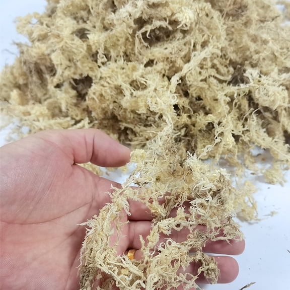 nzhaoha Dried Sphagnum Moss Compressed Peat Moss for Plants Orchids Reptile Terrarium Soil Amendment Moisture Retention Gardening