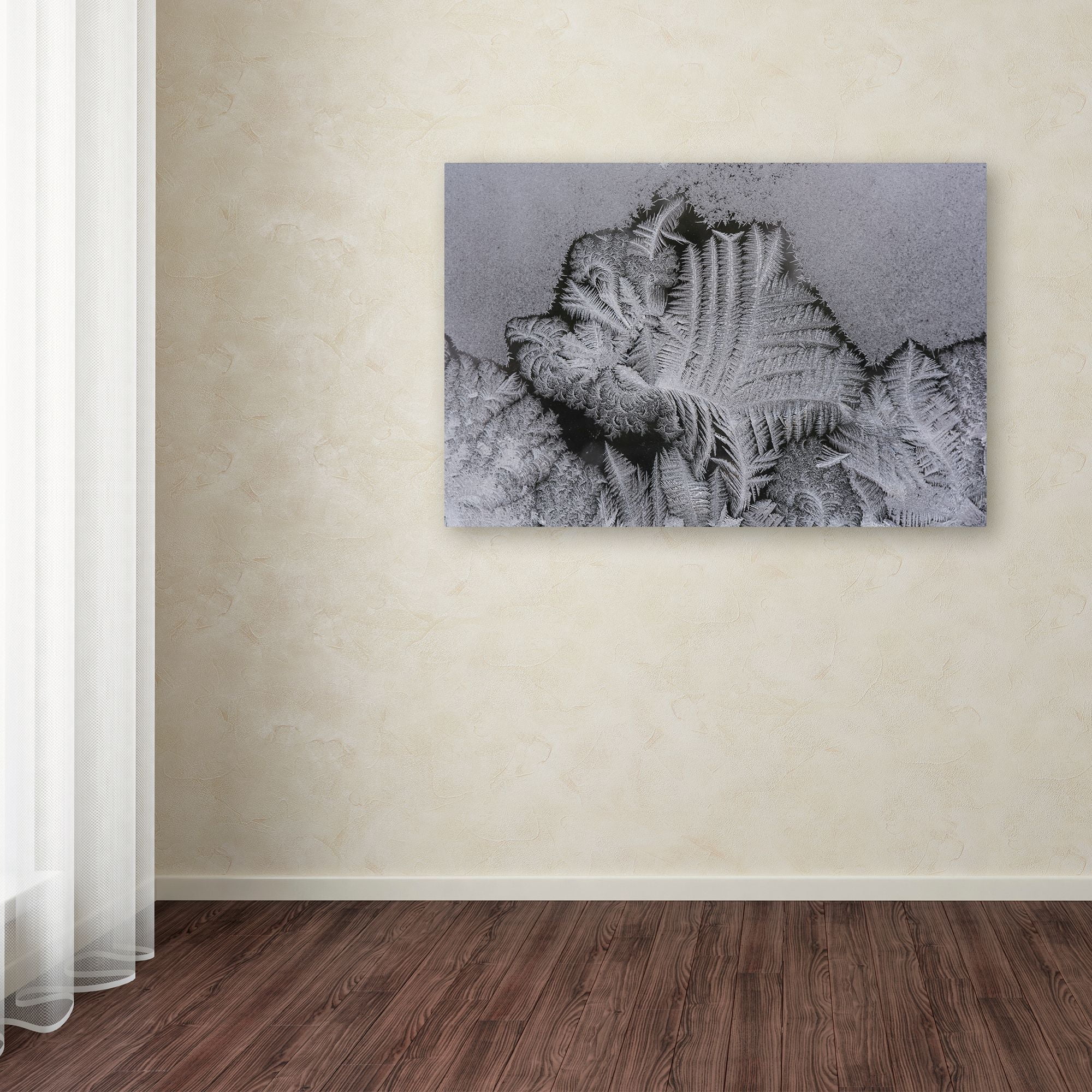 Trademark Fine Art 'Frost on my Window' Canvas Art by Kurt Shaffer