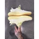 thumbnail image 4 of Size 11 - adi - das Yeezy Boost 350 V2 Butter, 4 of 6