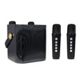 thumbnail image 1 of Haut-parleur Karaoké Portable 10 W avec 2 Micros Sans Fil - Bluetooth 5.3, Son Surround à 360°, Écho DSP, Double Microphone Chorus, Noir, pour Cinéma Maison et Fête en Plein Air, 1 of 12