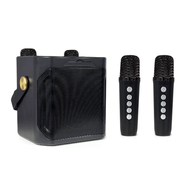 Haut-parleur Karaoké Portable 10 W avec 2 Micros Sans Fil - Bluetooth 5.3, Son Surround à 360°, Écho DSP, Double Microphone Chorus, Noir, pour Cinéma Maison et Fête en Plein Air