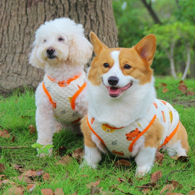 Anti static dog clearance jacket