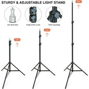 LINCO Photography Photo Studio Lighting 24x24 Softbox Light Kit AM141