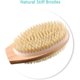 thumbnail image 4 of Back Scrubber for Shower with Long Wooden Handle,Body Brush for Exfoliating Skin with Soft and Stiff Bristles,Shower Brush Bath Brush Body Scrubber fo, 4 of 5
