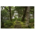 thumbnail image 1 of Great BIG Canvas | "Ireland, Kerry, Killarney National Park. Hiking trails near Muckross House" Art Print - 48x32, 1 of 4