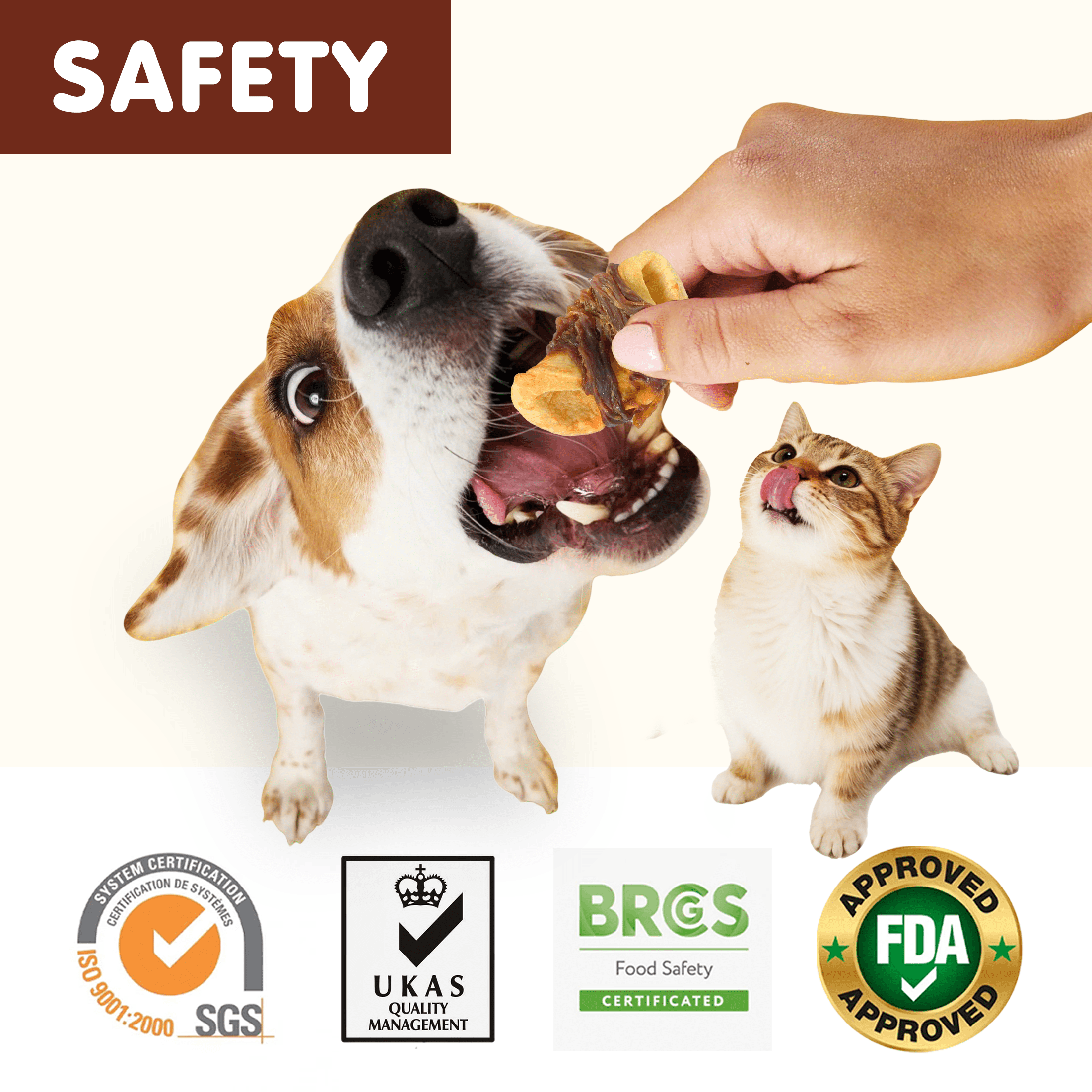 (2 pack) PAWUP Chicken Wrapped Apple Dog Treats, Chewy Dog Snack for Balanced Nutrition, Gluten & Grain Free Fruit Wraps for Dogs, 10.6 oz