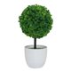 thumbnail image 3 of Bonsai artificial No desvanecimiento Plastic Simulación Plantas Flores Decoración, 3 of 5