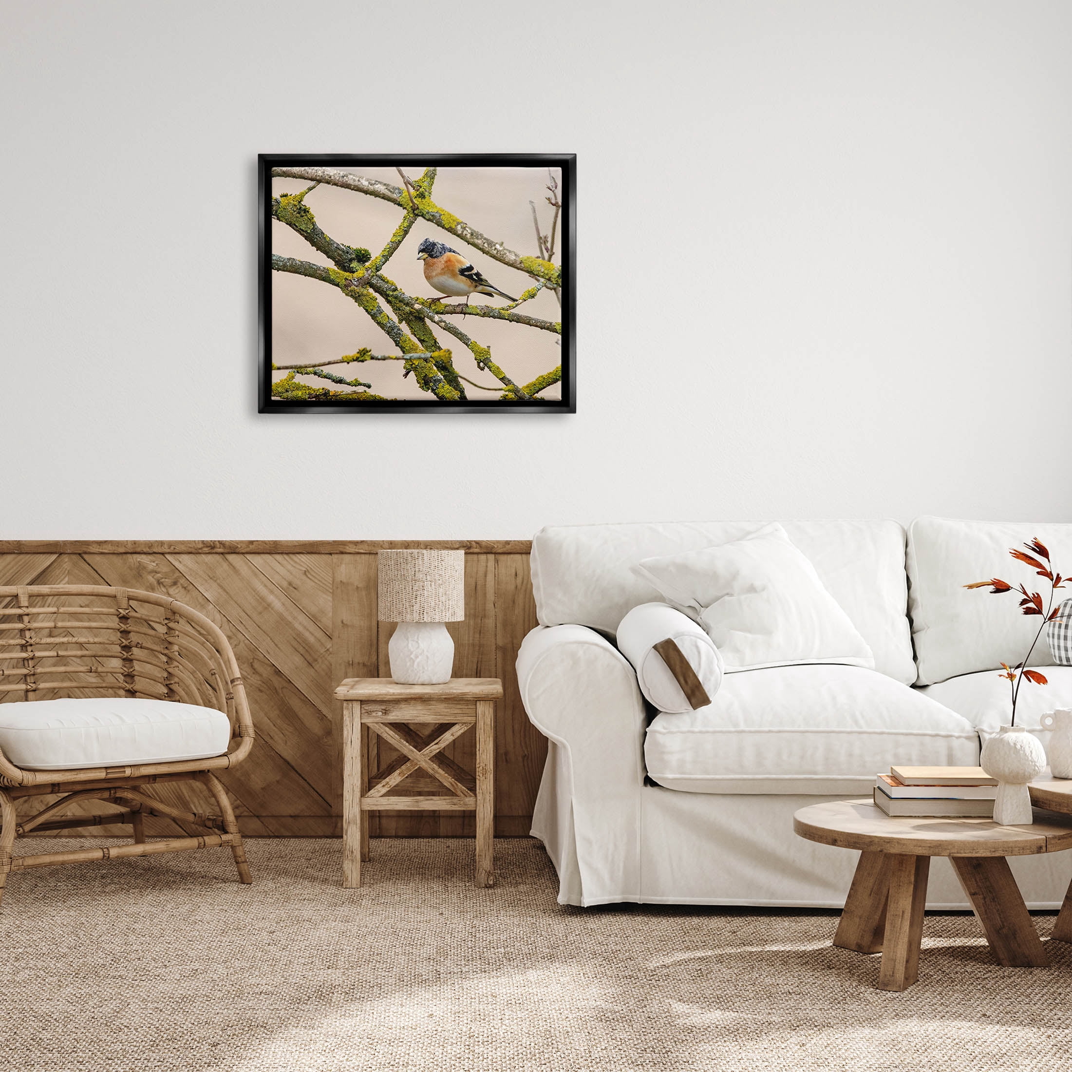 Stupell Industries Orange Bird Mossy Tree Branch Photograph Jet Black Floating Framed Canvas Print Wall Art, Design by Lil' Rue
