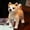 A, variant on 25cm Realistic Shiba Inu Plush Toy, Soft Stuffed Puppy in 3 Poses for Kids and Dog Lovers