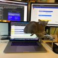 thumbnail image 2 of VTZEOTQ Acrylic Monitor Stand Riser Anti-Cat Laptop Cover Protector, Crystal Clear Laptop Stand, 16 inch Computer Monitor Riser f, 2 of 8
