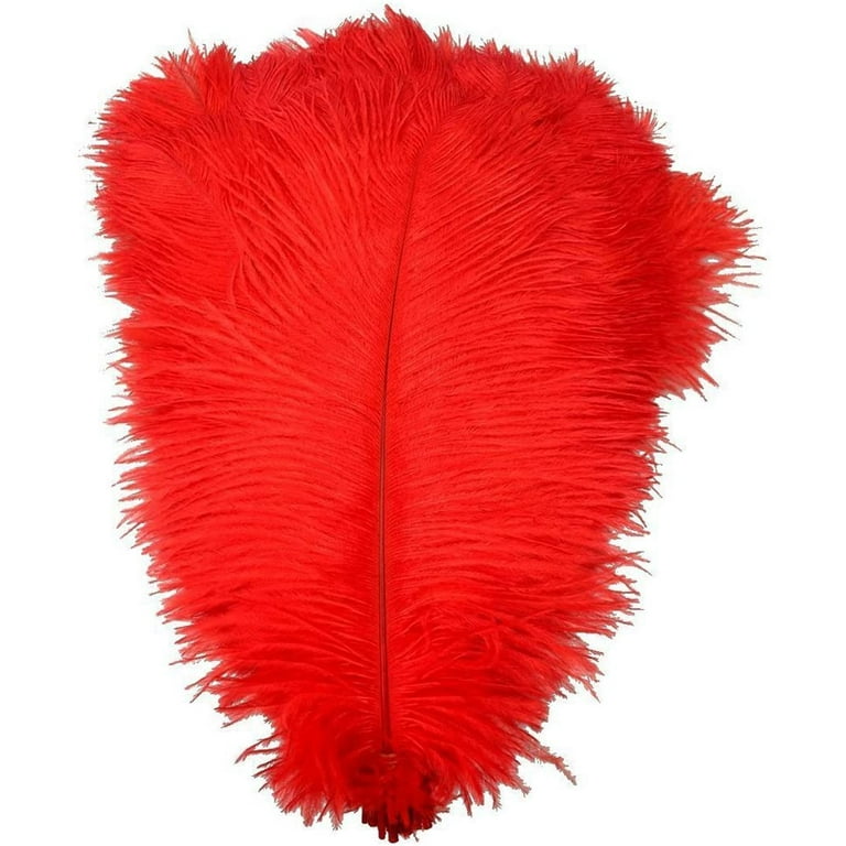 Craft best sale ostrich feathers
