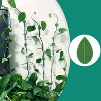 10 Pieces Plant Climbing Wall Fixture Clips with 12 Pieces Acrylic Adhesive Sticker Leaf Fixer Invisible Wall Vines Fixing Clips Self-Adhesive Hook Plant Vine Traction for Indoor Outdoor Decoration