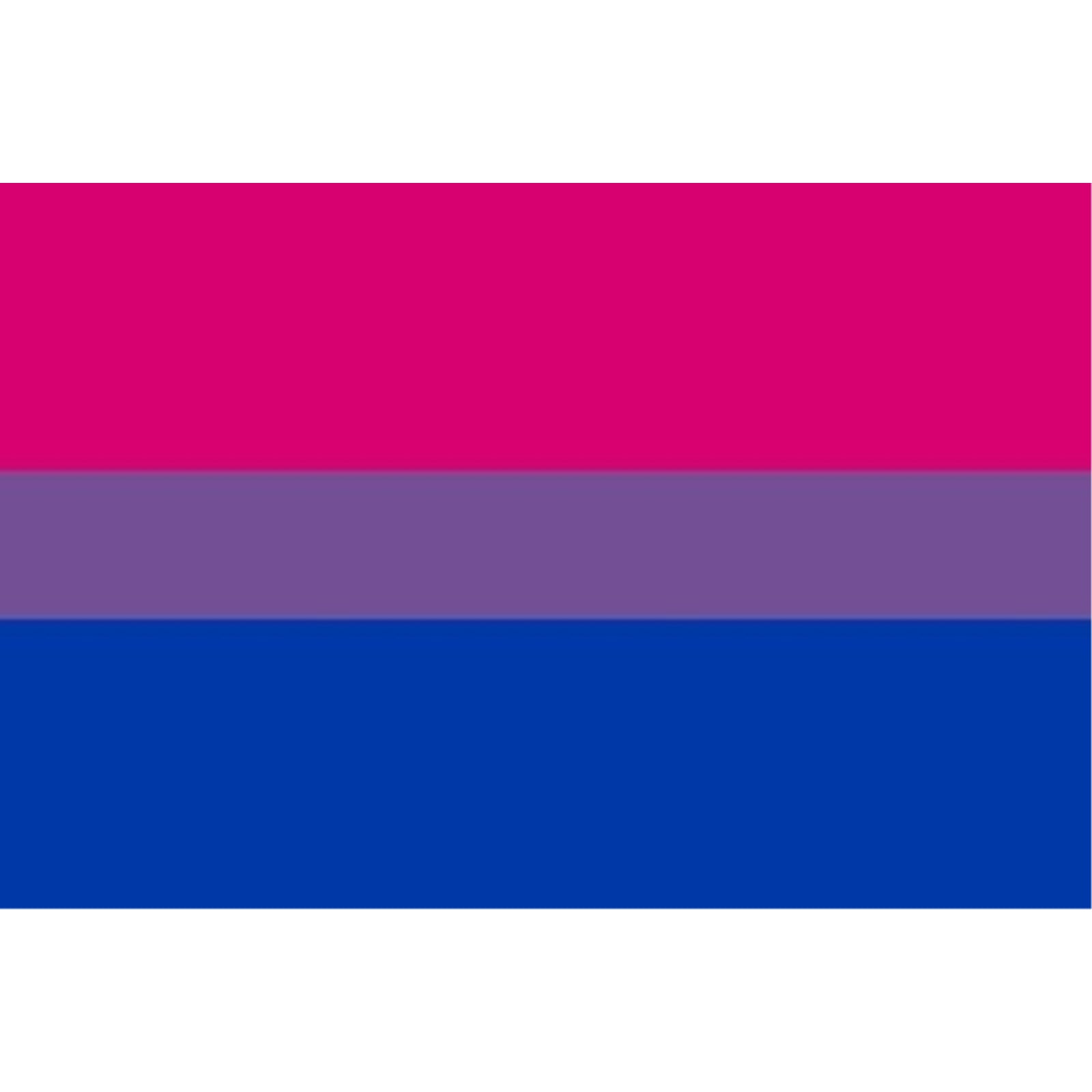 Bi Pride Flag Bisexual Banner Gay Lesbian LGBT 3x5 Rainbow Festival Pennant