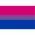 thumbnail image 3 of Bi Pride Flag Bisexual Banner Gay Lesbian LGBT 3x5 Rainbow Festival Pennant, 3 of 3
