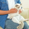 thumbnail image 5 of Eisoary Pet Menstrual Pant High Absorbent Pet Diaper Adjustable Puppy Nappies Female Cat Sterilization Suit Dog Underwear Briefs Black S, 5 of 13