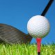thumbnail image 2 of Camisetas de golf Afortunado 200 piezas 3-1/4 pulgadas de bambú natural, 2 of 5
